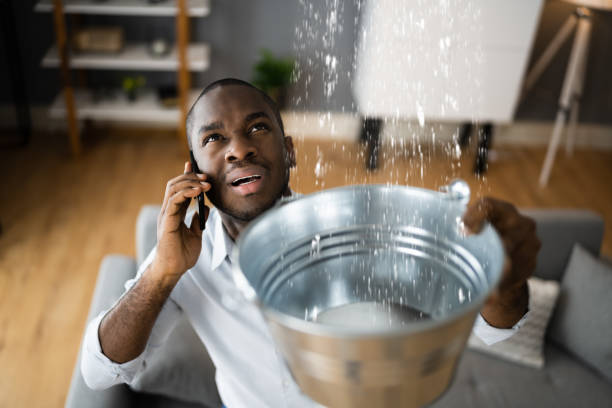Best Ceiling water damage repair  in Rotan, TX