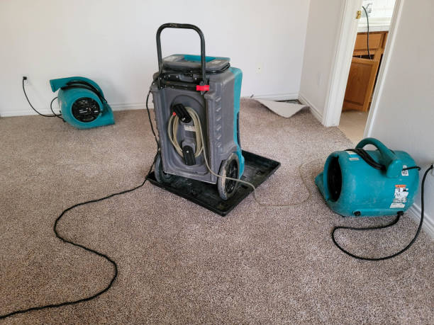 Water damage restoration experts in Rotan, TX