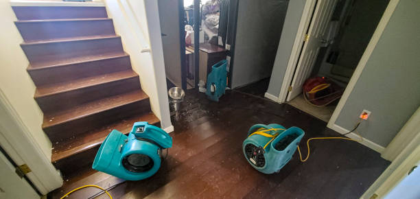  Rotan, TX Water damage restoration Pros