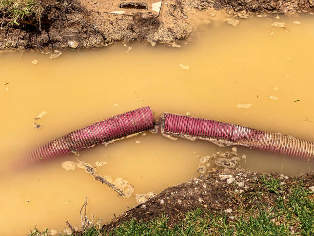 Best Emergency water damage restoration  in Rotan, TX