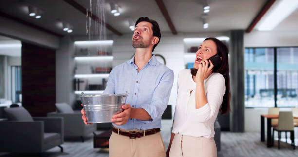 Best Water damage contractors near me  in Rotan, TX