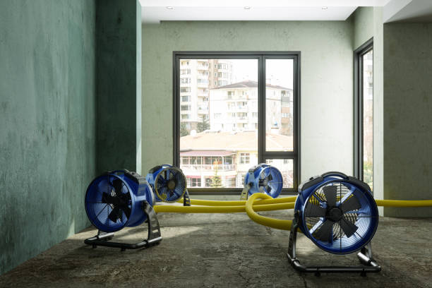 Best Carpet water damage restoration  in Rotan, TX