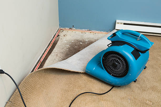 Best Water damage restoration cost  in Rotan, TX